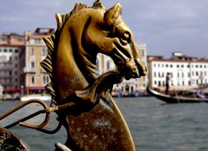 Venetian Gondola  Horse  